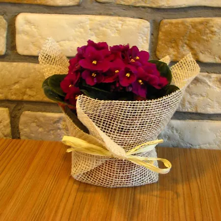 W Centrum Gdyni I Appartamento Gdynia