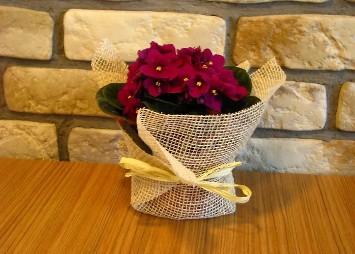 W Centrum Gdyni I Apartamento Gdynia